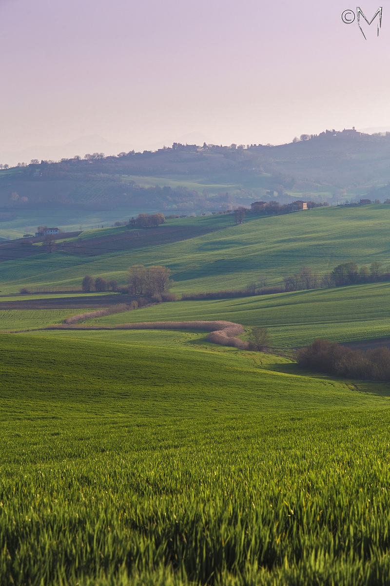 Curves on the hills ...