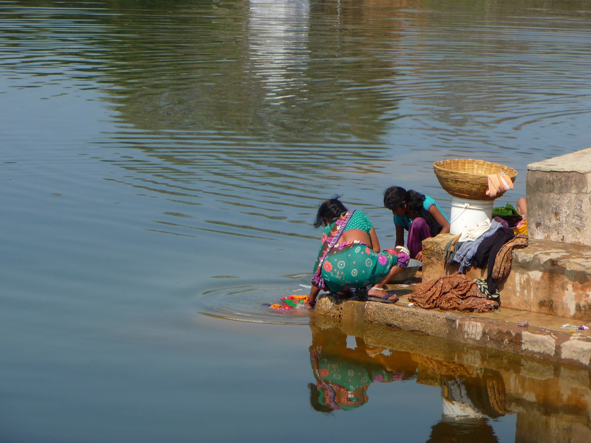 Le belle lavanderine