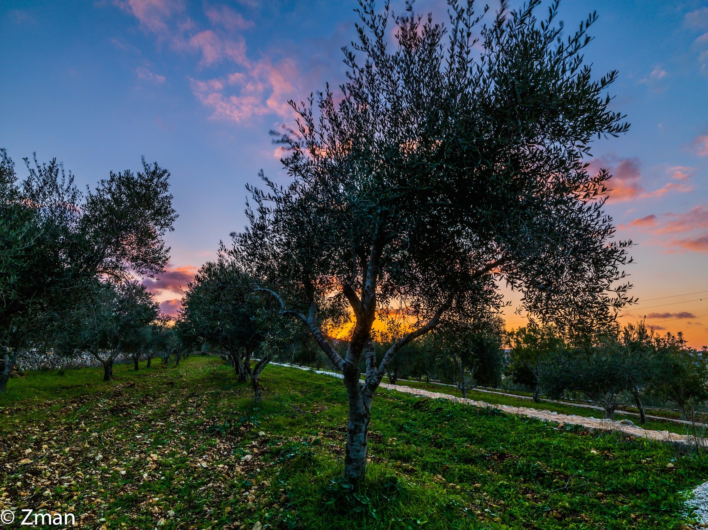 Il mio primo Tramonto nel Sud questo inverno