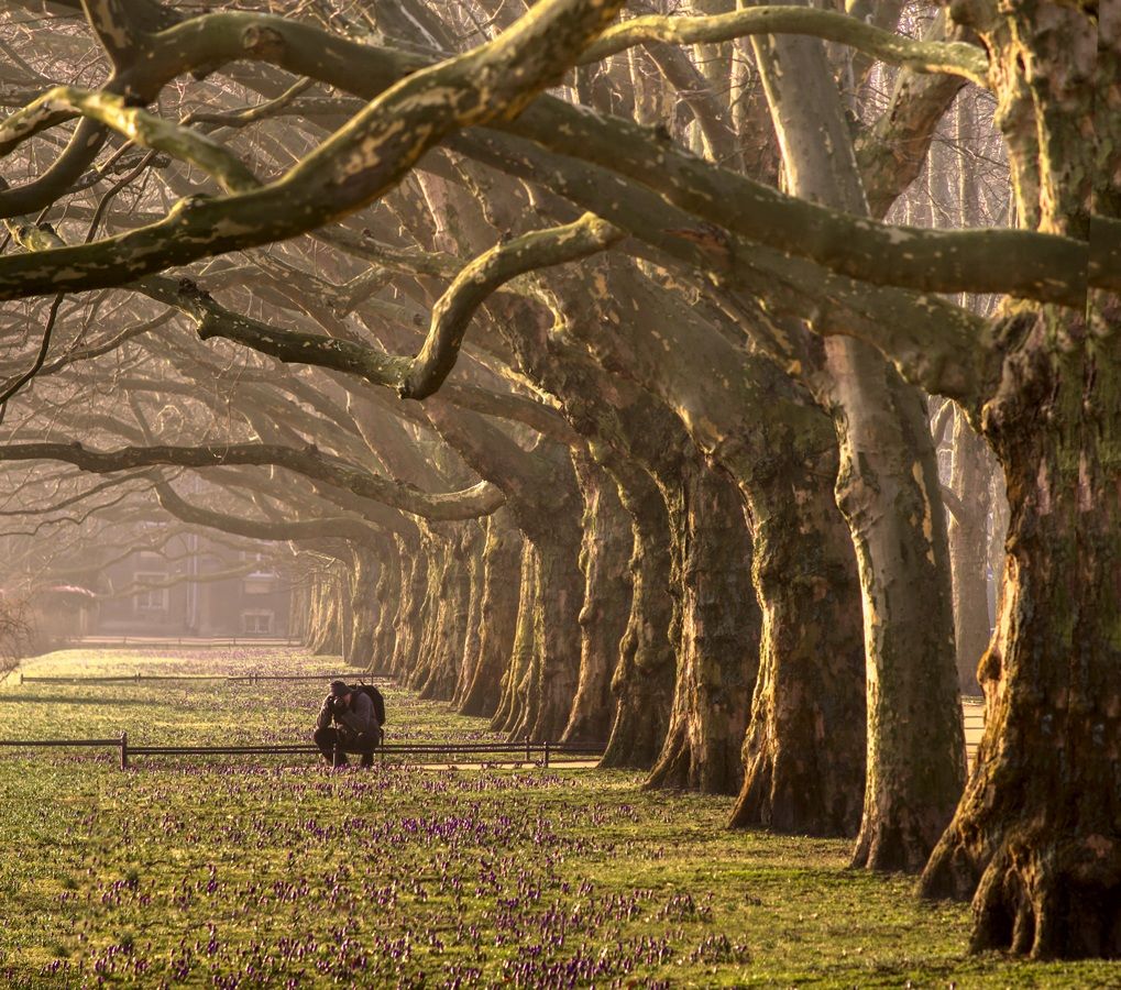 alla ricerca del telaio