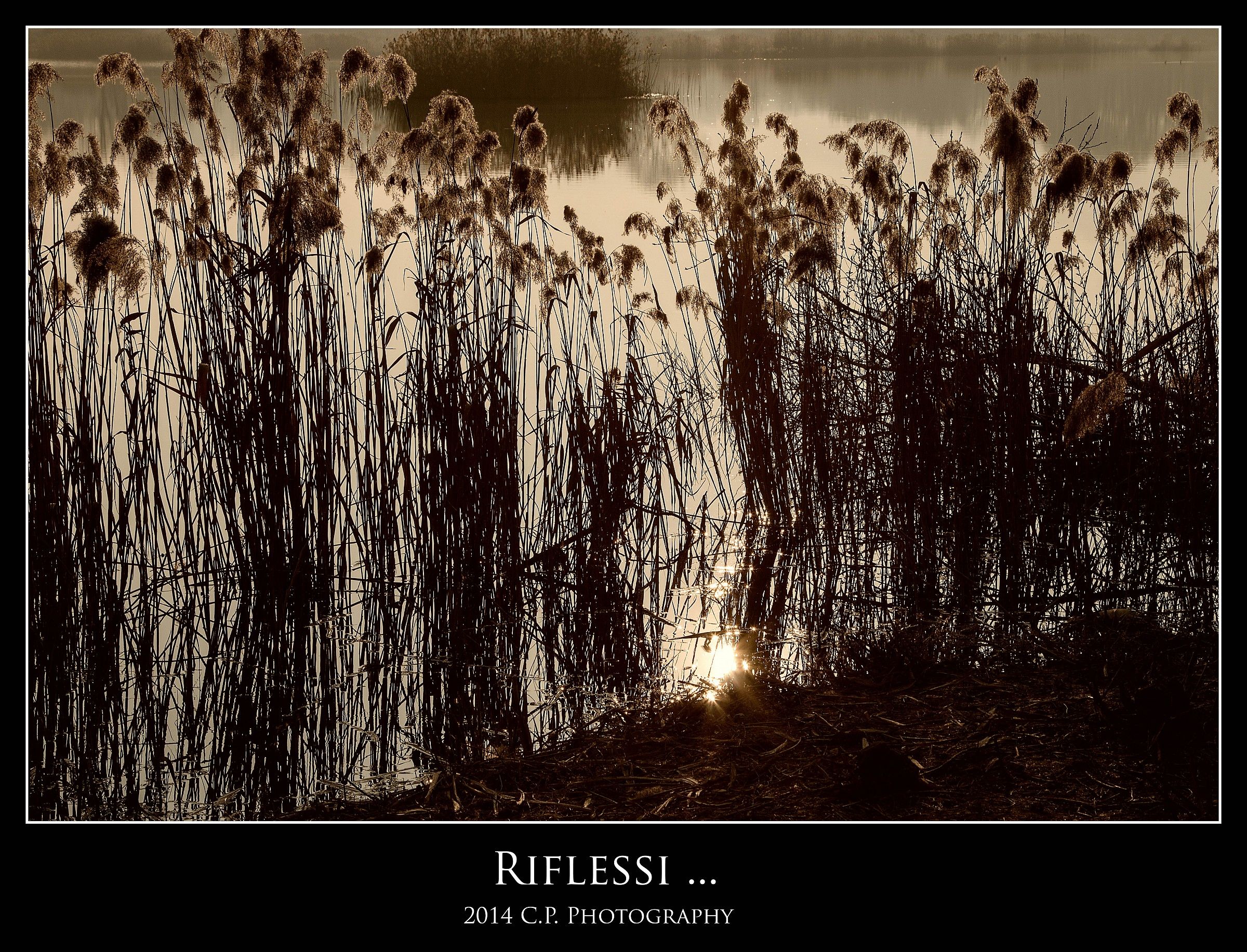 Riflessi