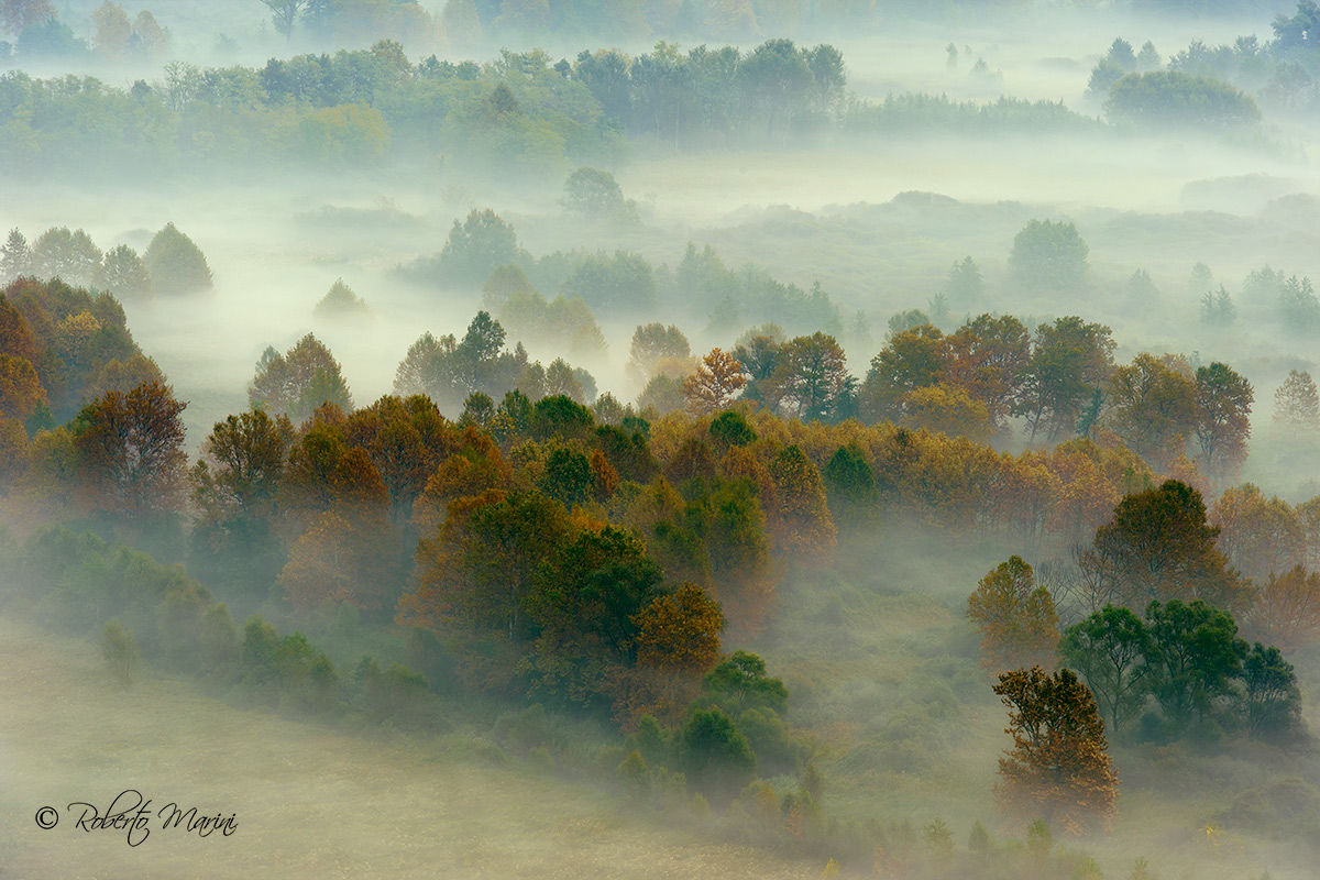 I remember the autumn