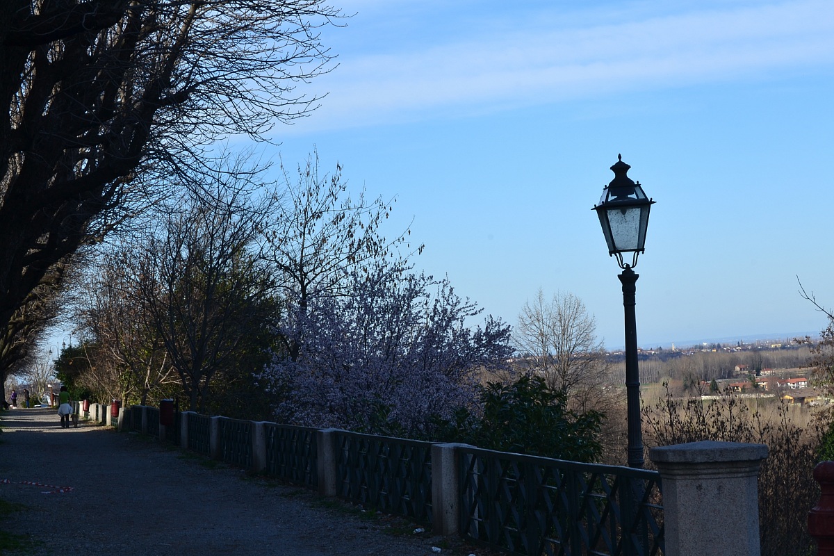 Viale Lungo Gesso - Cuneo.