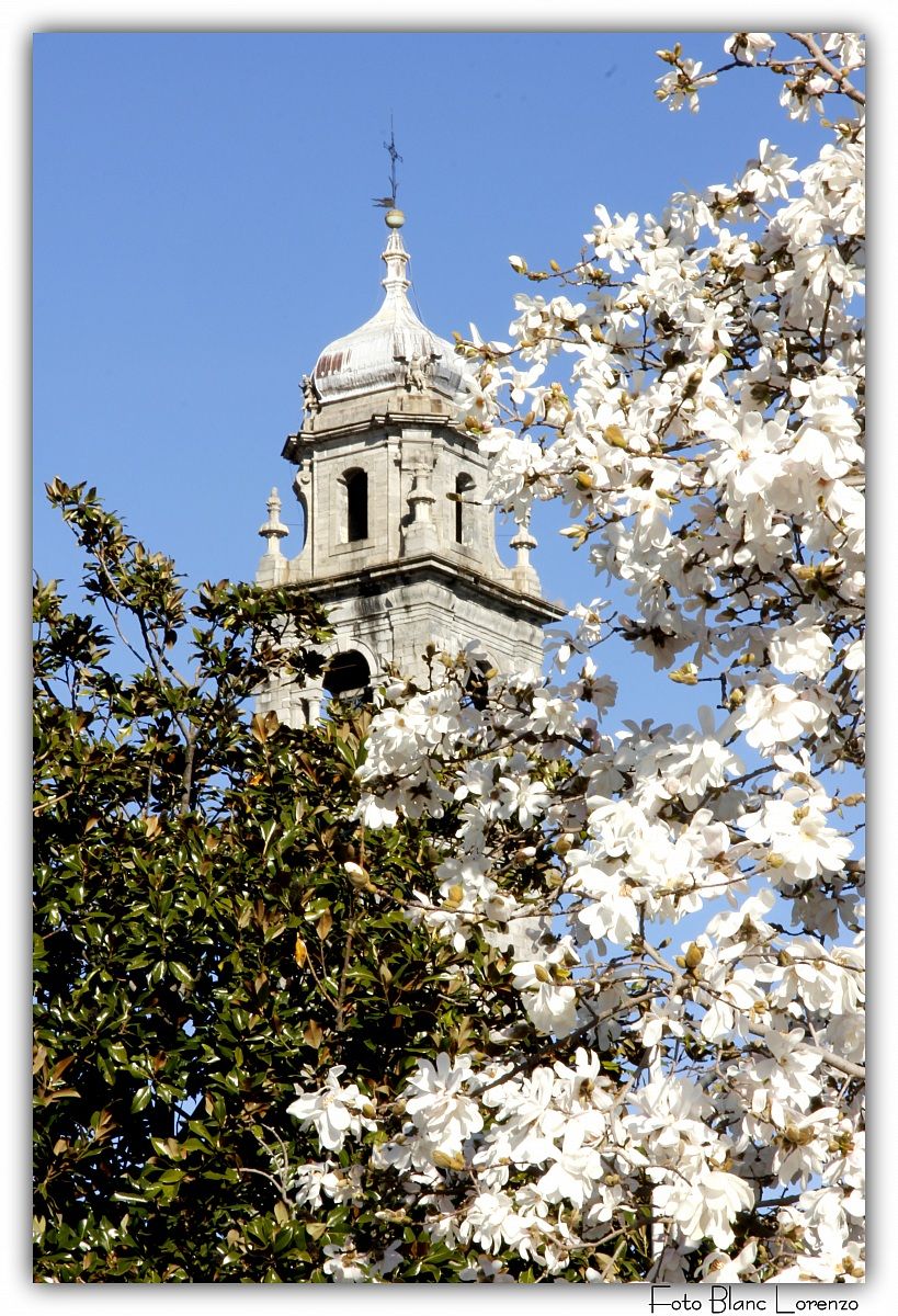 San Leonardo Pallanza