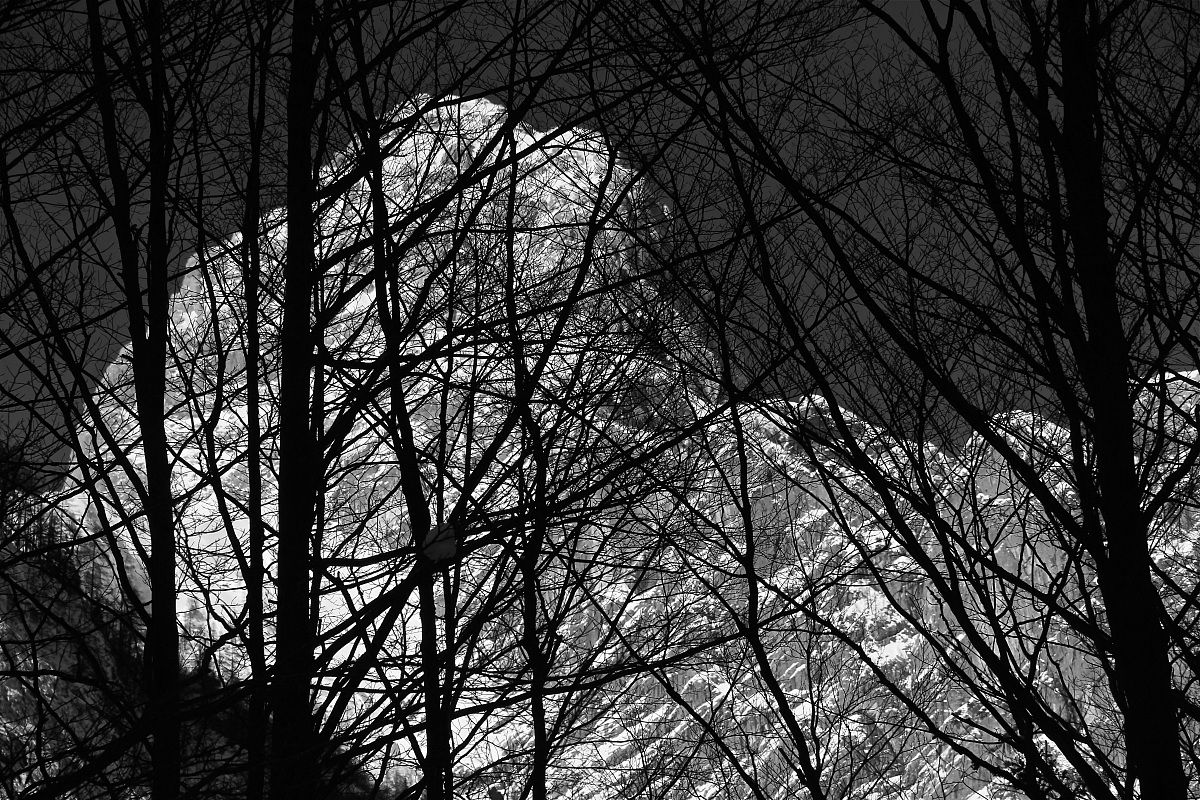 La luce dietro il reticolo