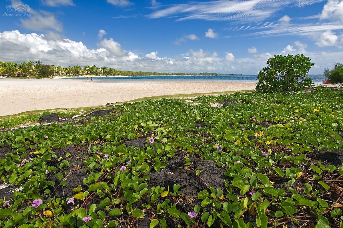 Belle mare Mauritius