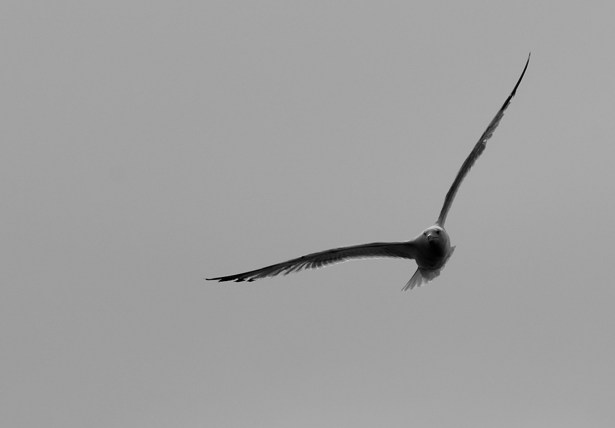 Le due meno un quarto