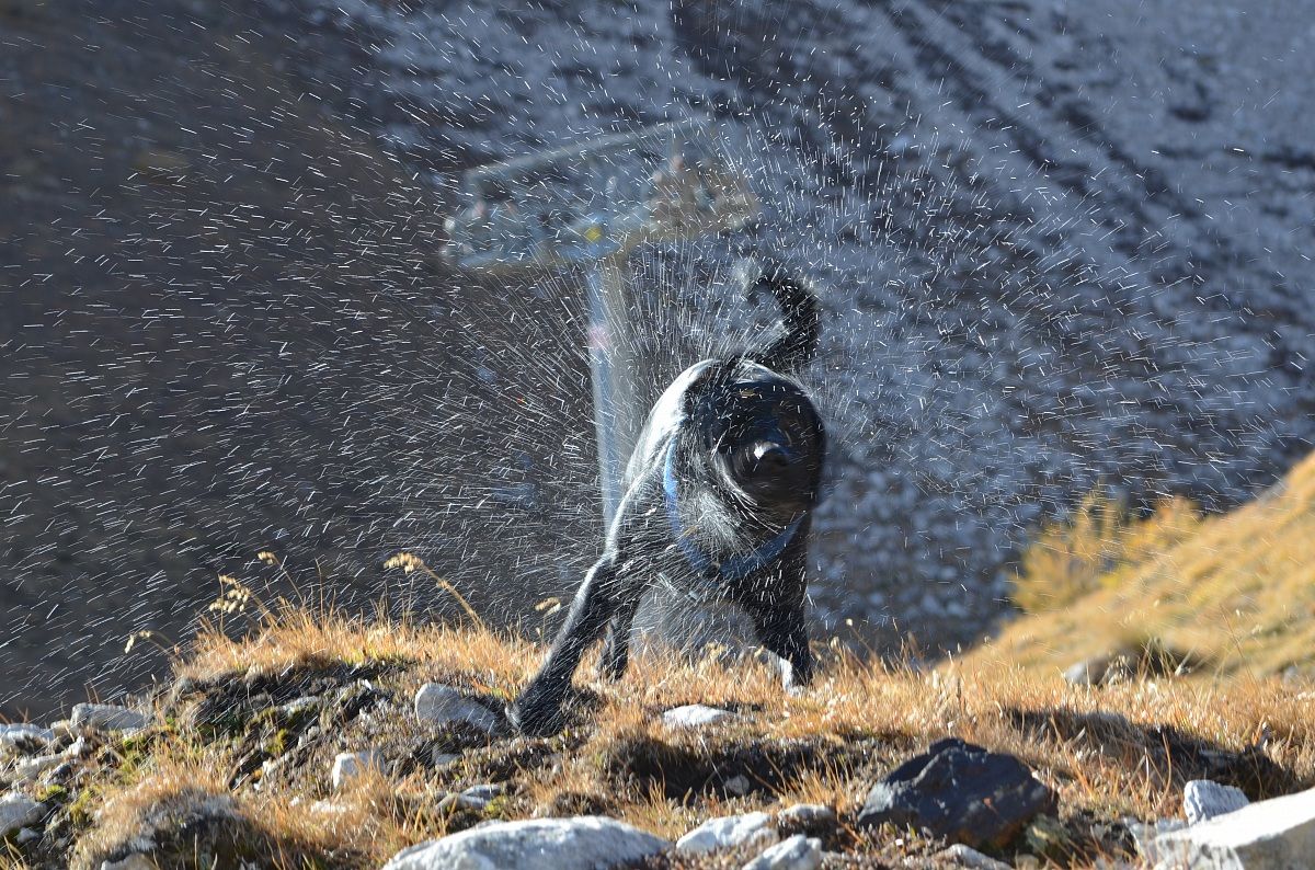Tommy ... after bath