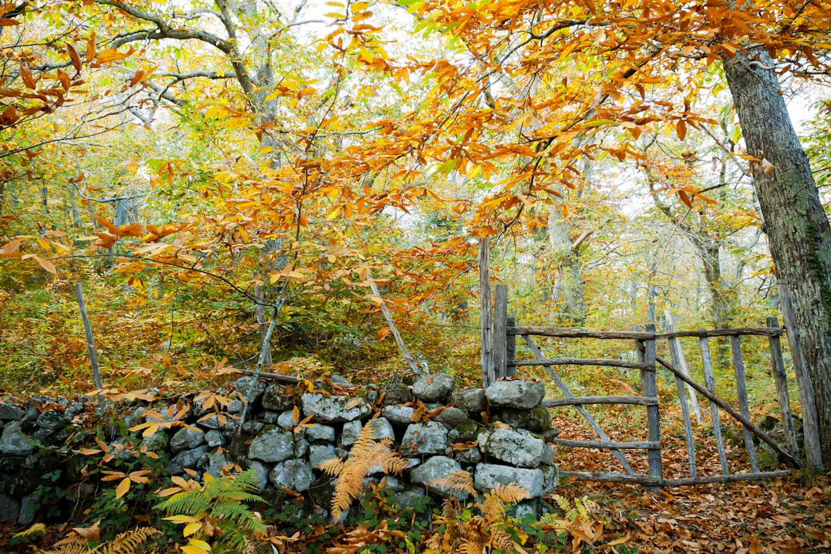 Autumn in Sassofortino