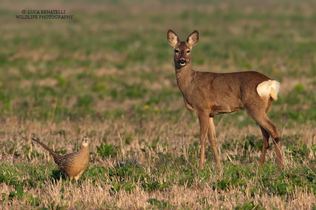 two friends posing for the shot