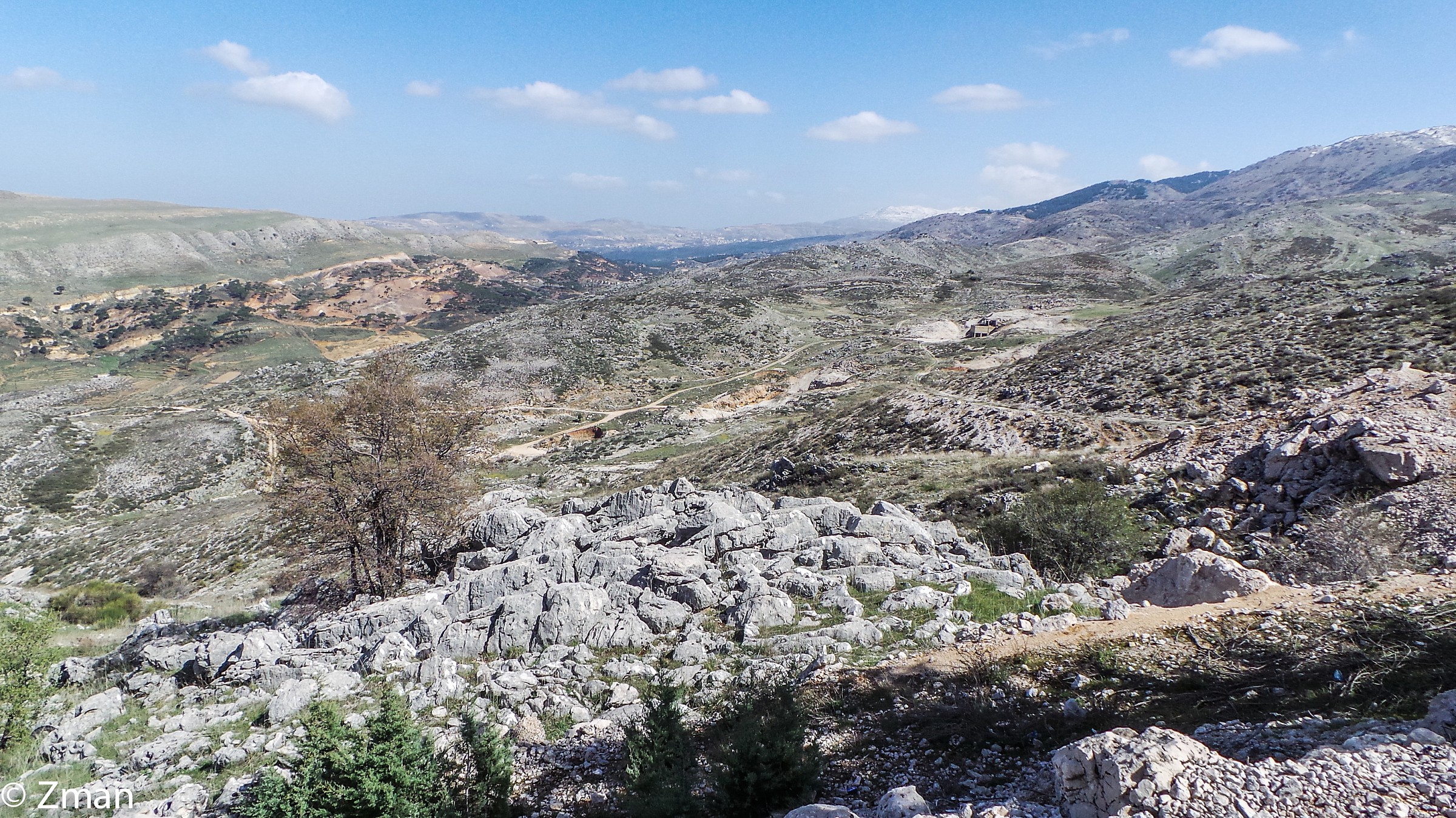 A AlBarouk Cedar Reserve