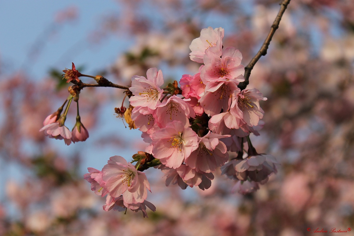 in two minutes it's spring