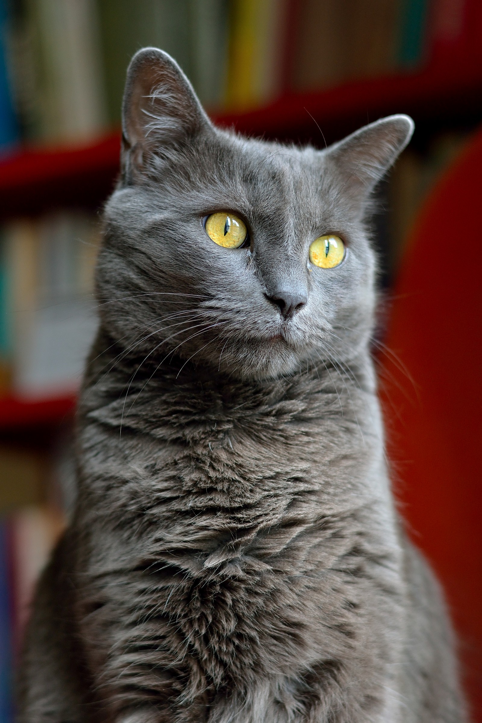 Testing Nikon 50mm 1.8g