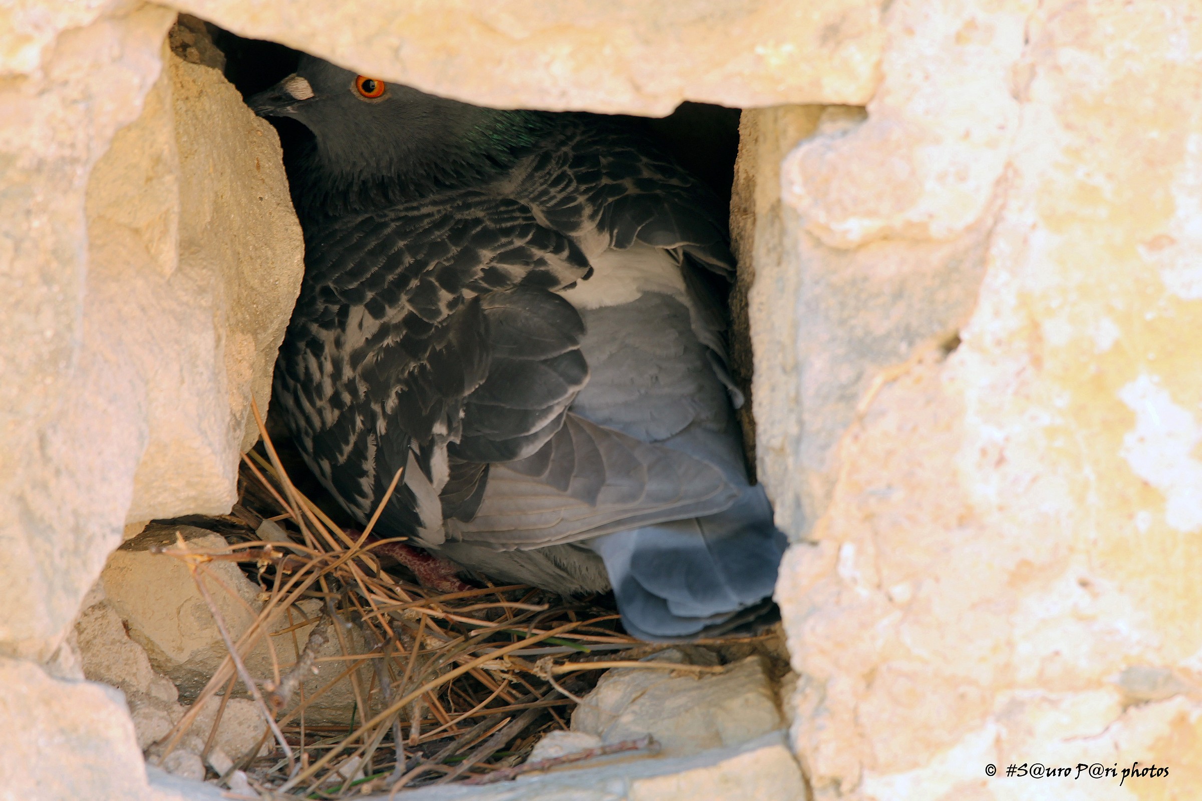 New Year .... new home