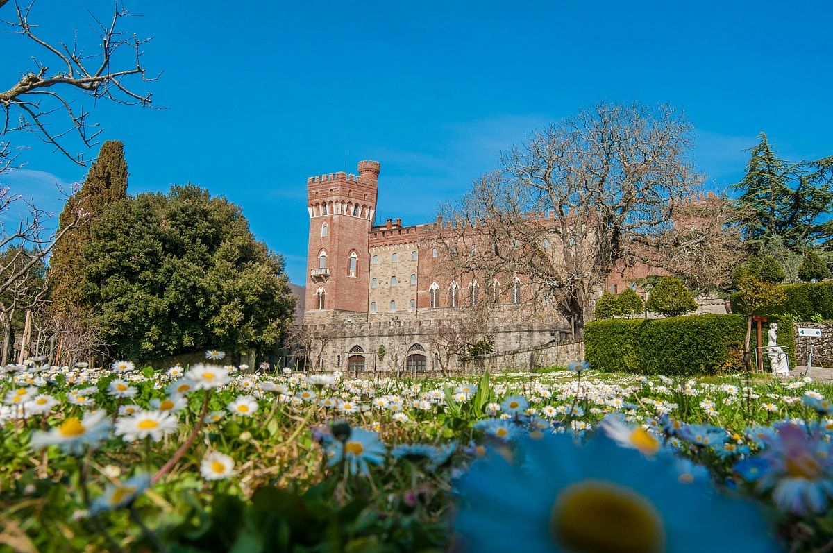 Castelli e margherite