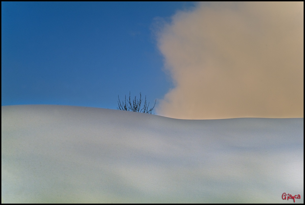 nncc (NeveNuvolaCieloCespuglio)