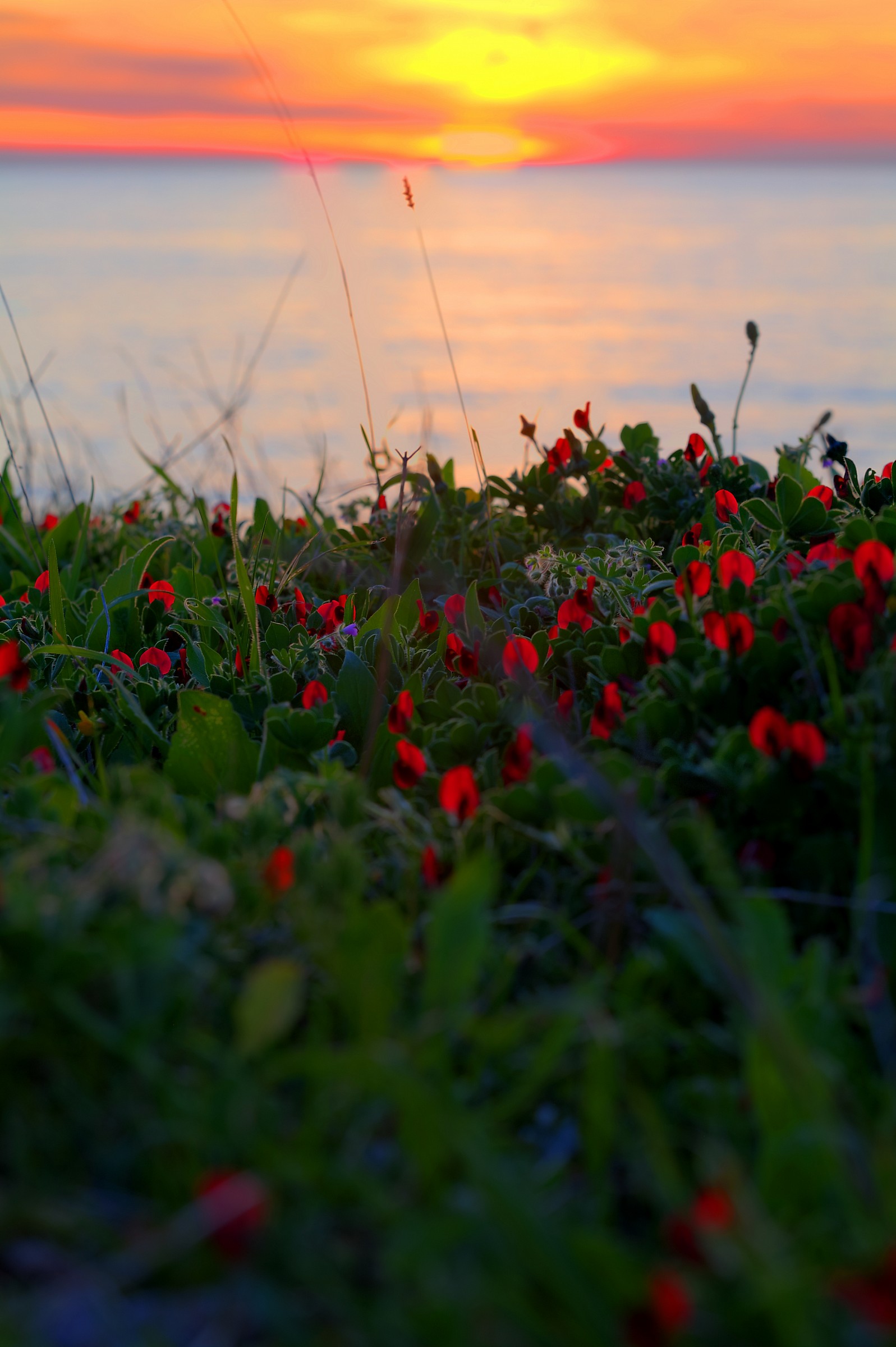 sunset in san gregorio 2