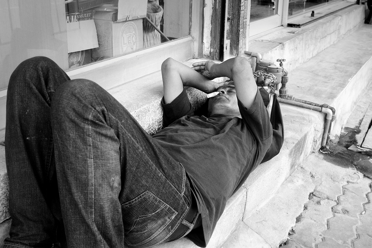 The evening lions ...