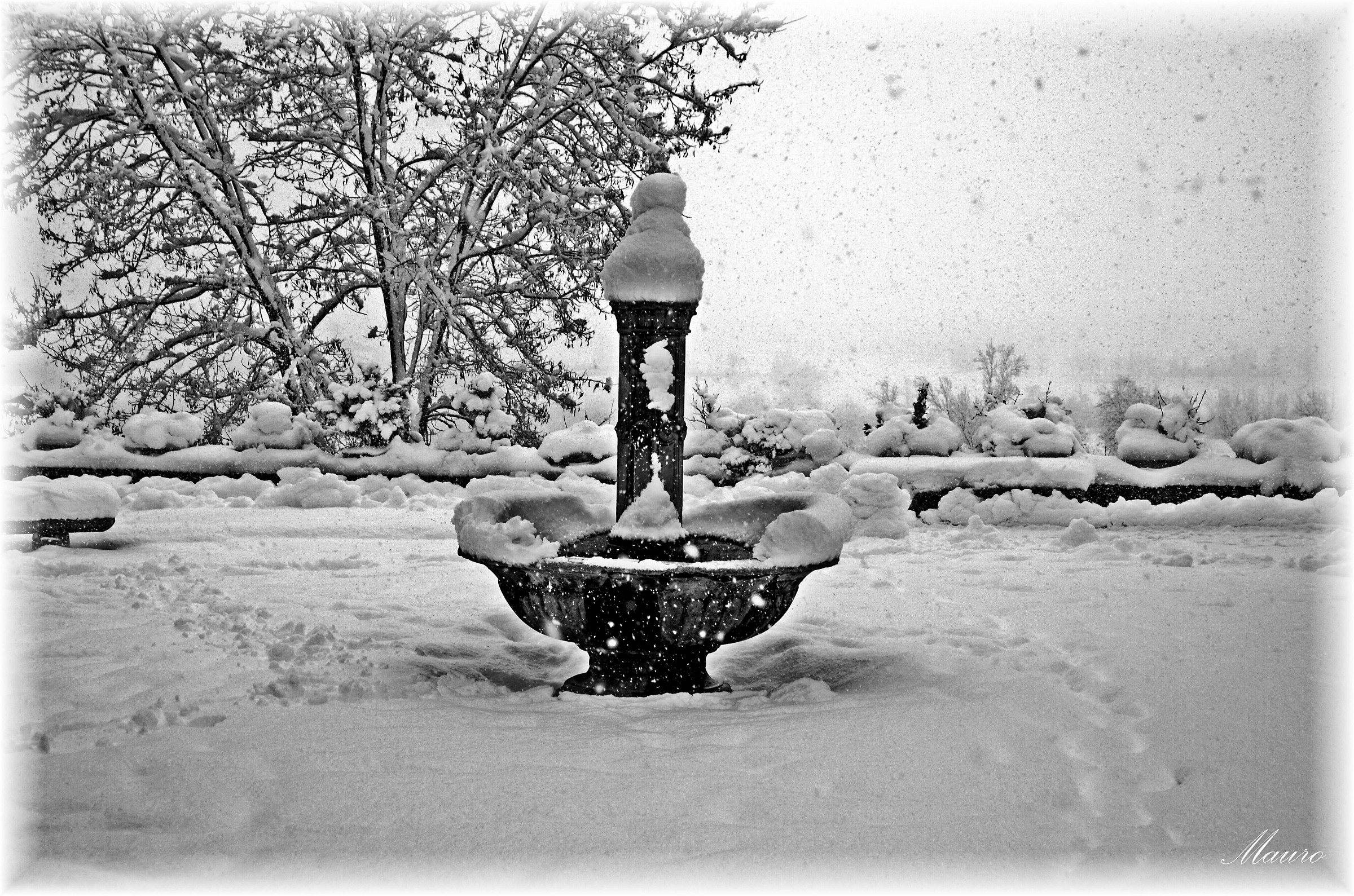 Fontana sotto la neve