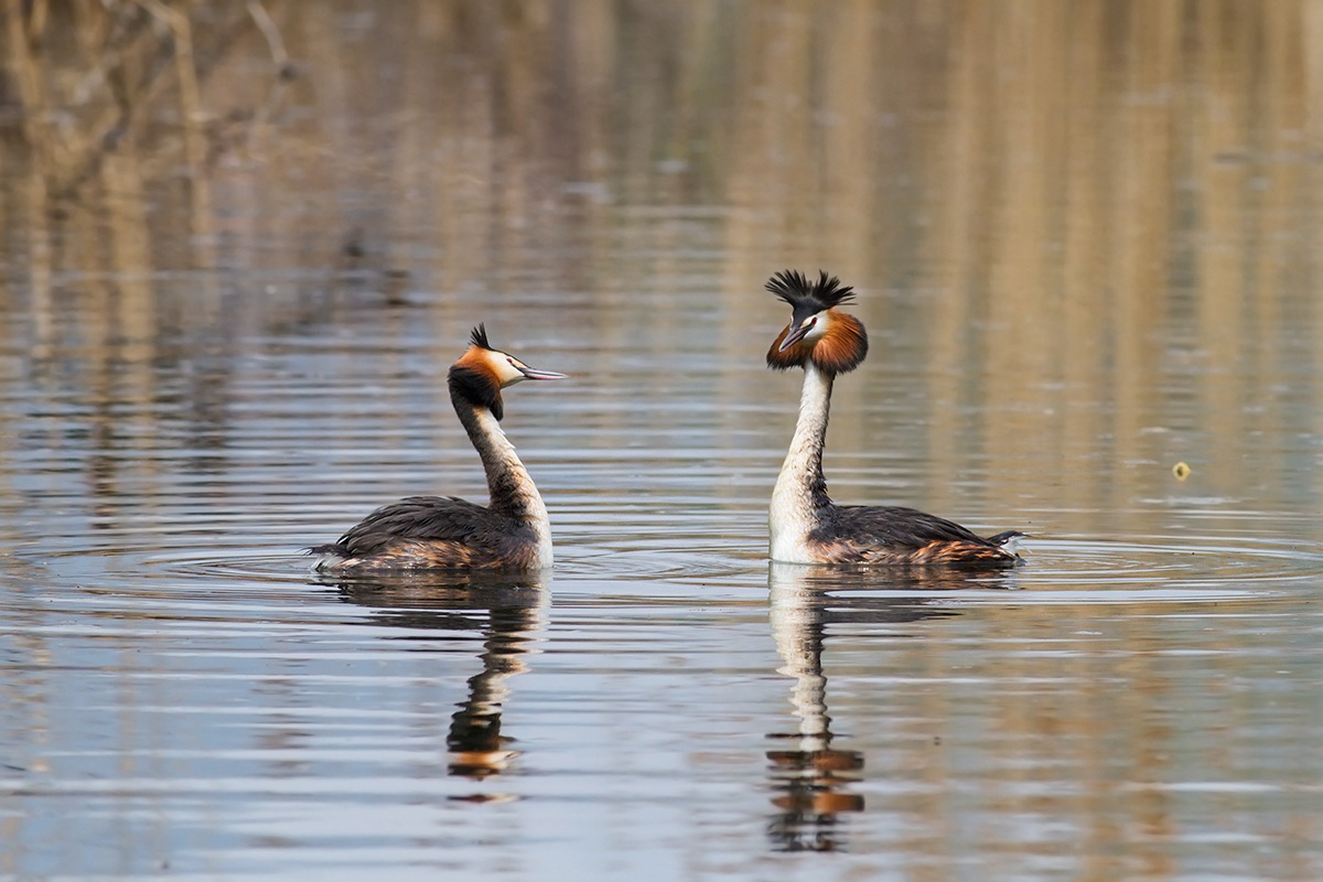 Questione di sguardi