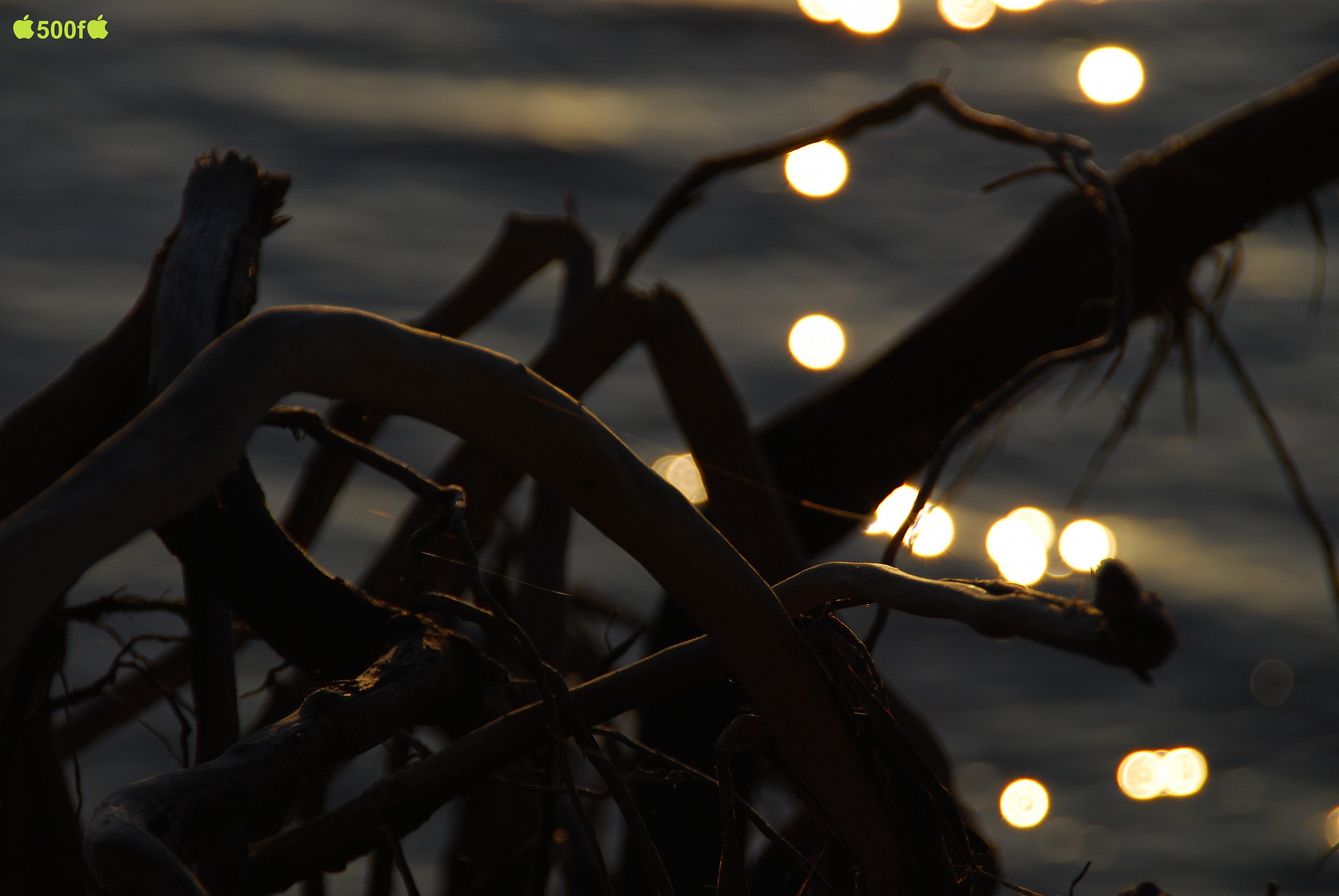 Aspettando l'estate...