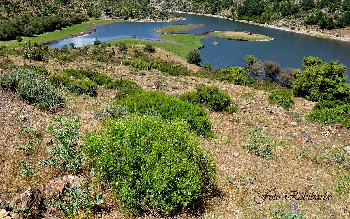 Alto Flumendosa ....