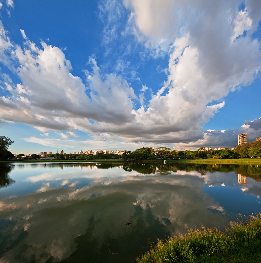 Parco di Ibirapuera - San Paolo