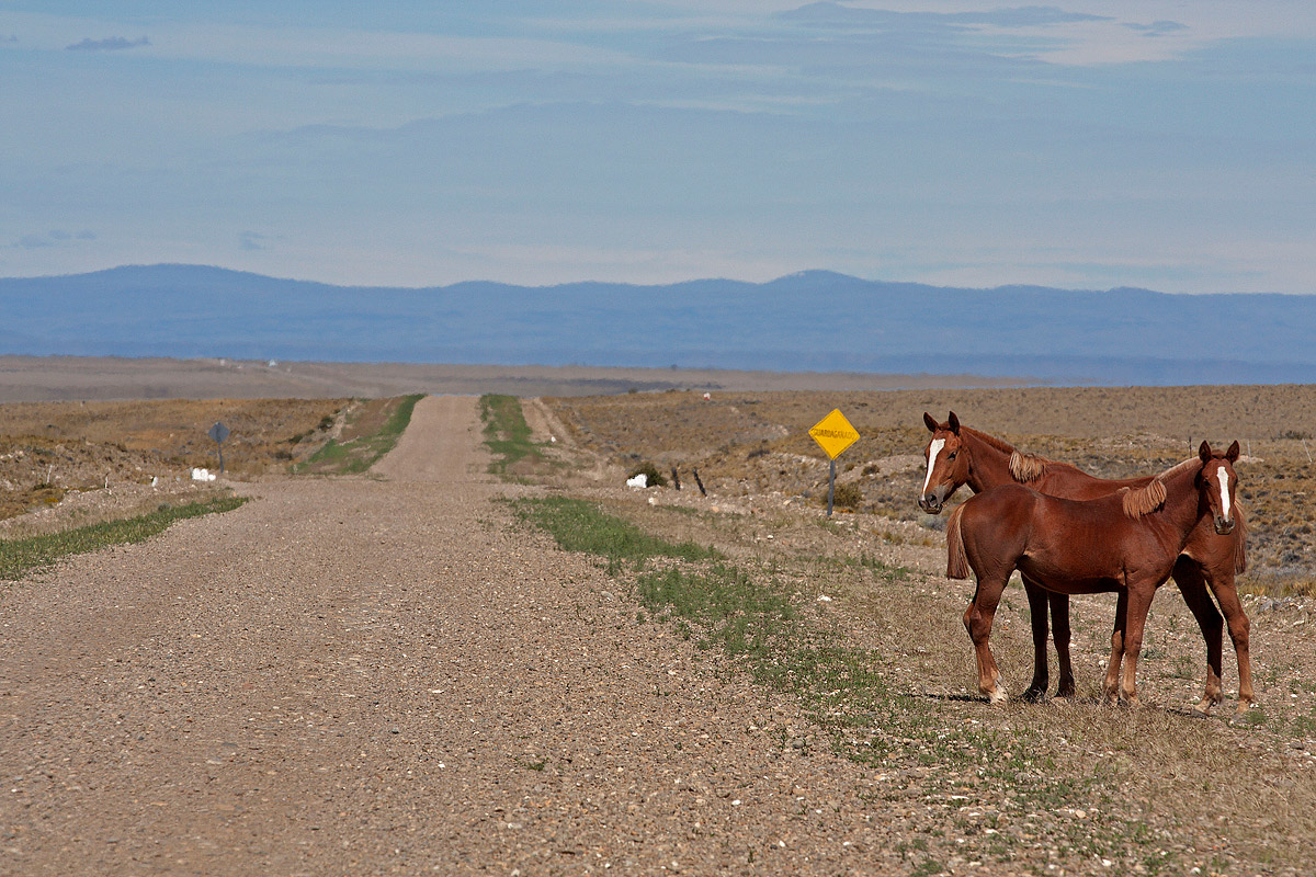 Patagonia - Ruta 40