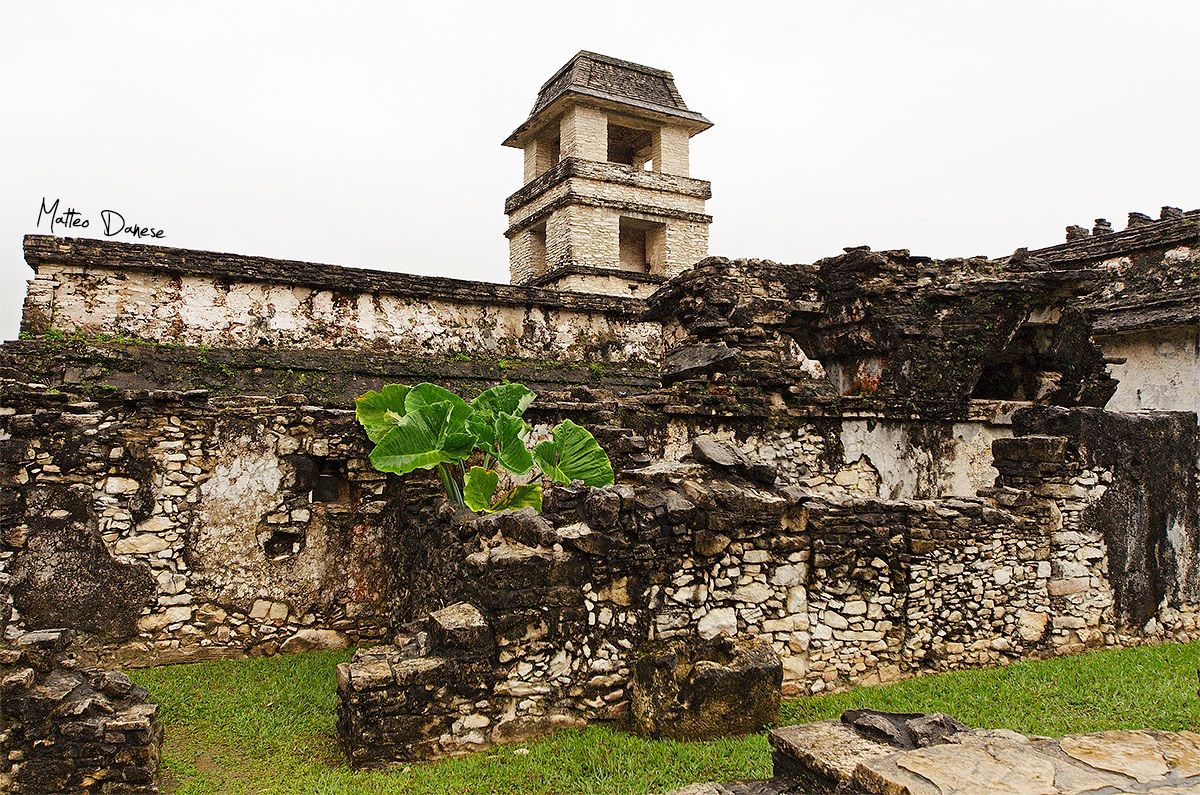 Palenque