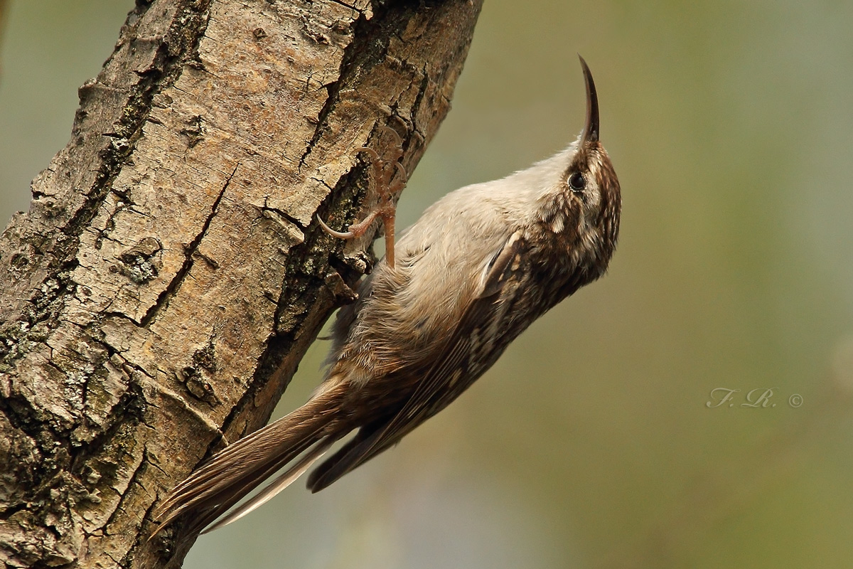 I am looking for a center of ...