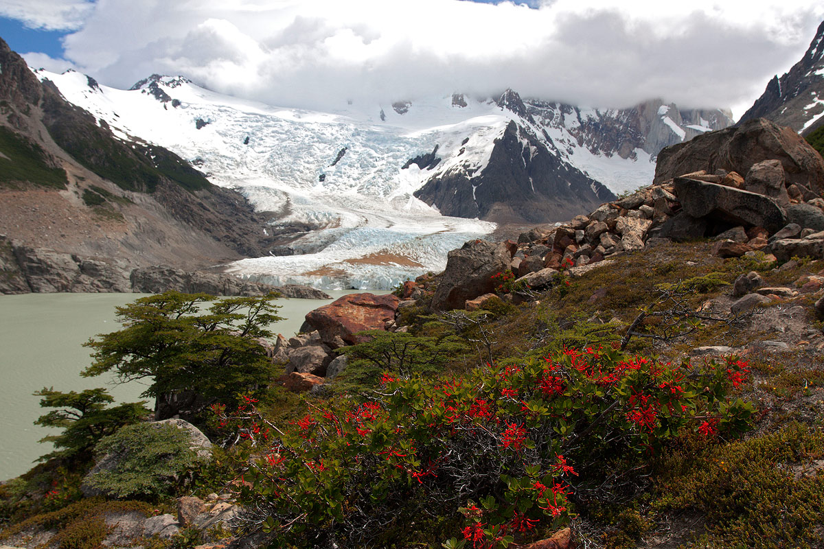 Patagonia - Verso il Cerro Torre