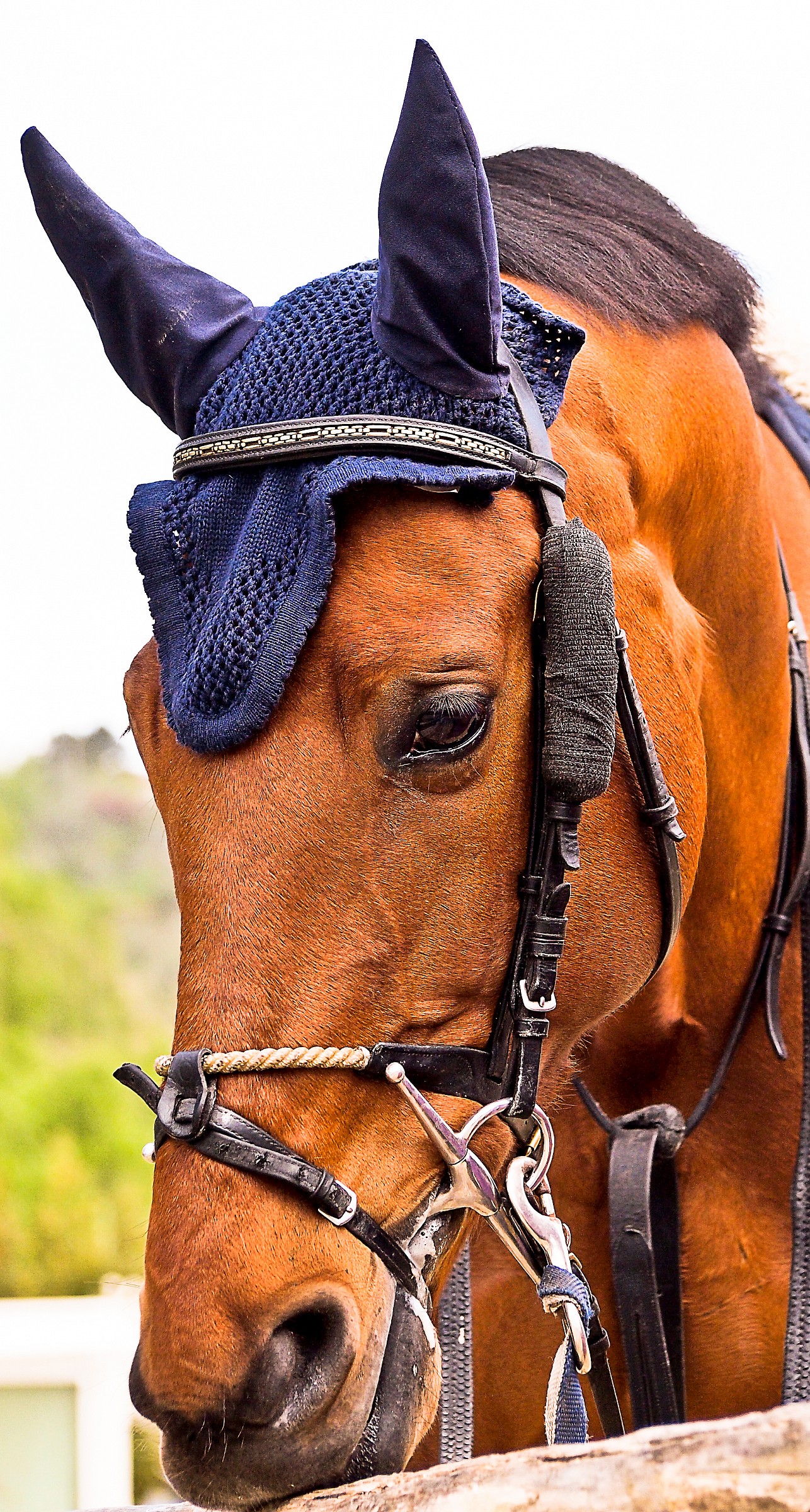 Portrait of a friend before the race!