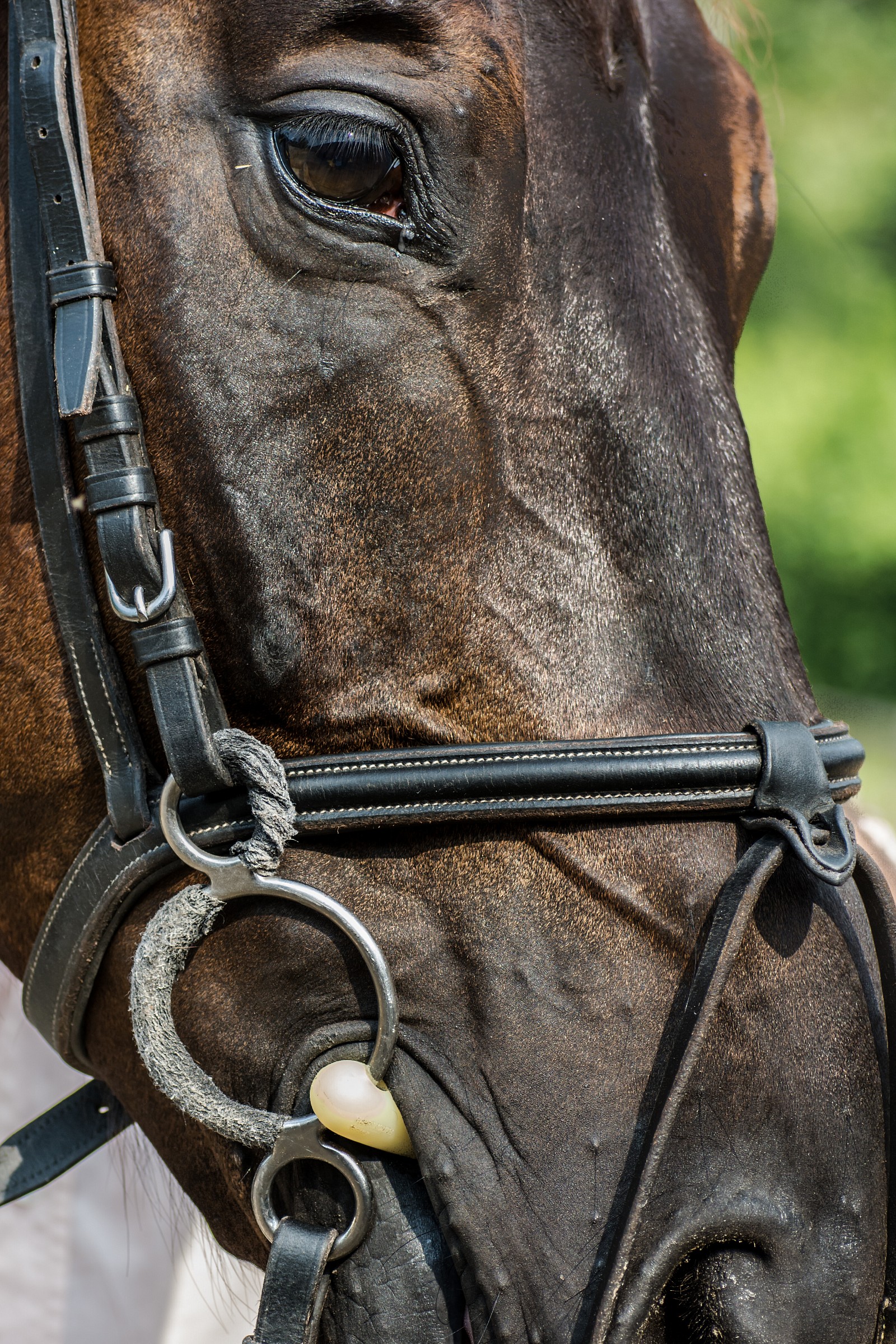 Ritratto di un'altro amico dopo la gara!