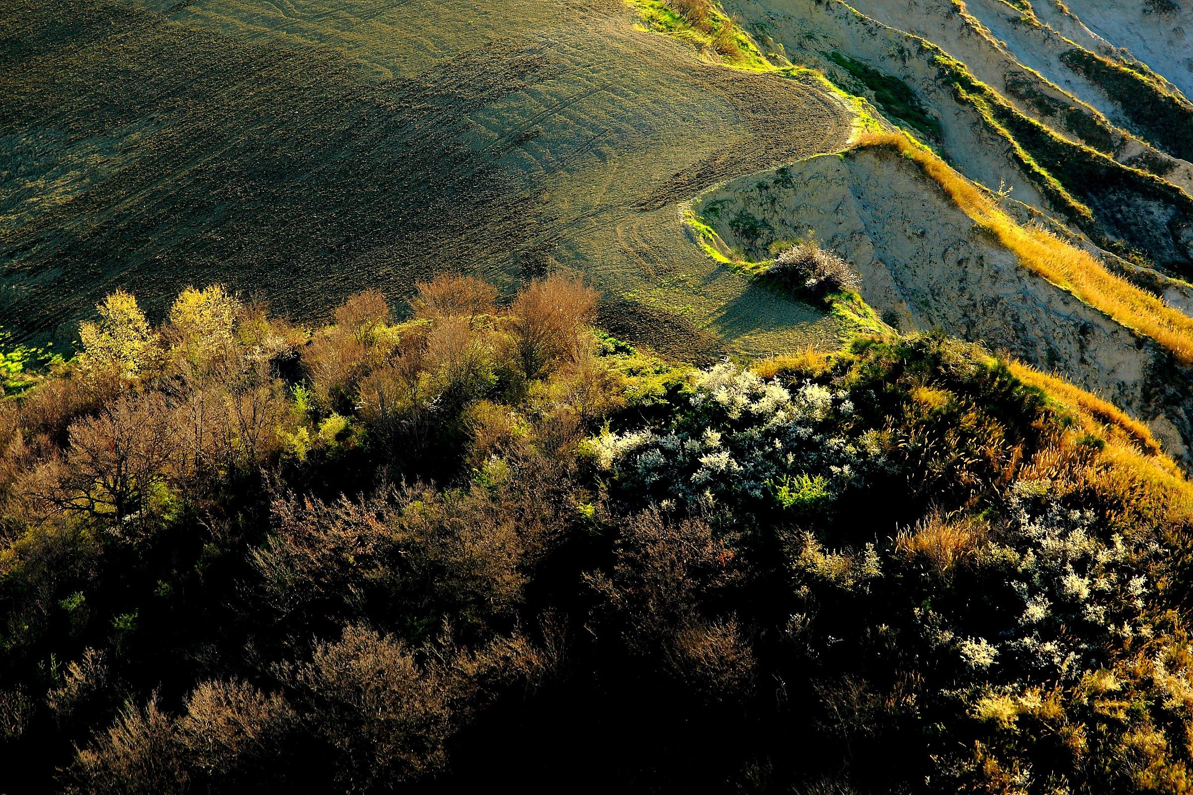 Visioni contrastate.