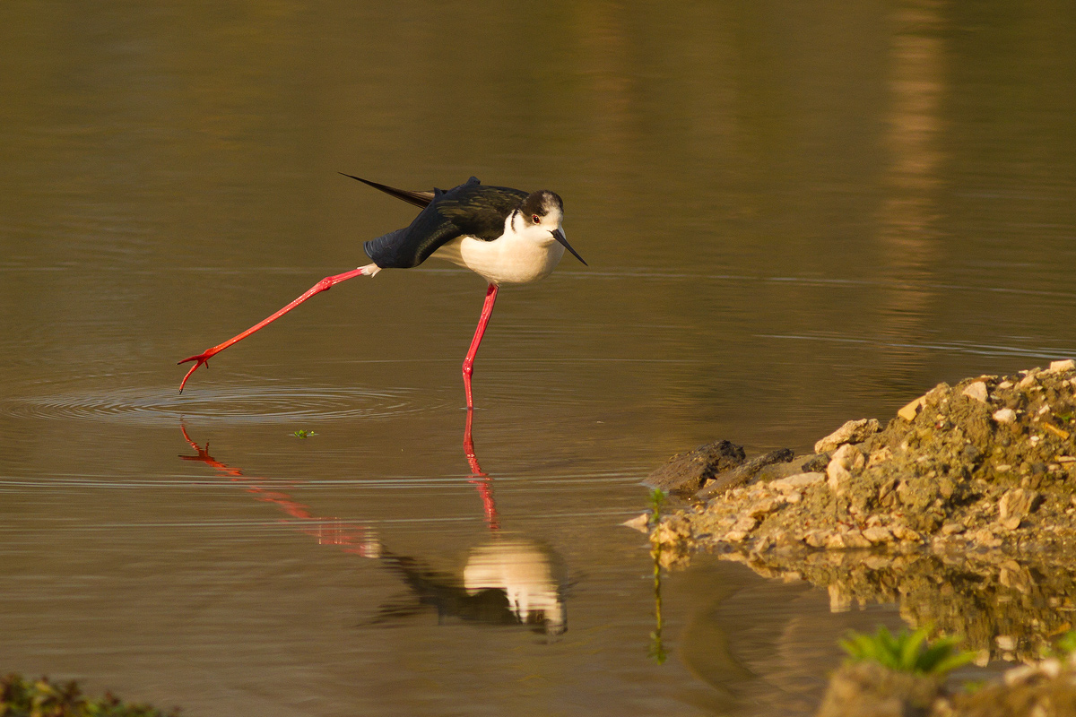 Stretching di prima mattina