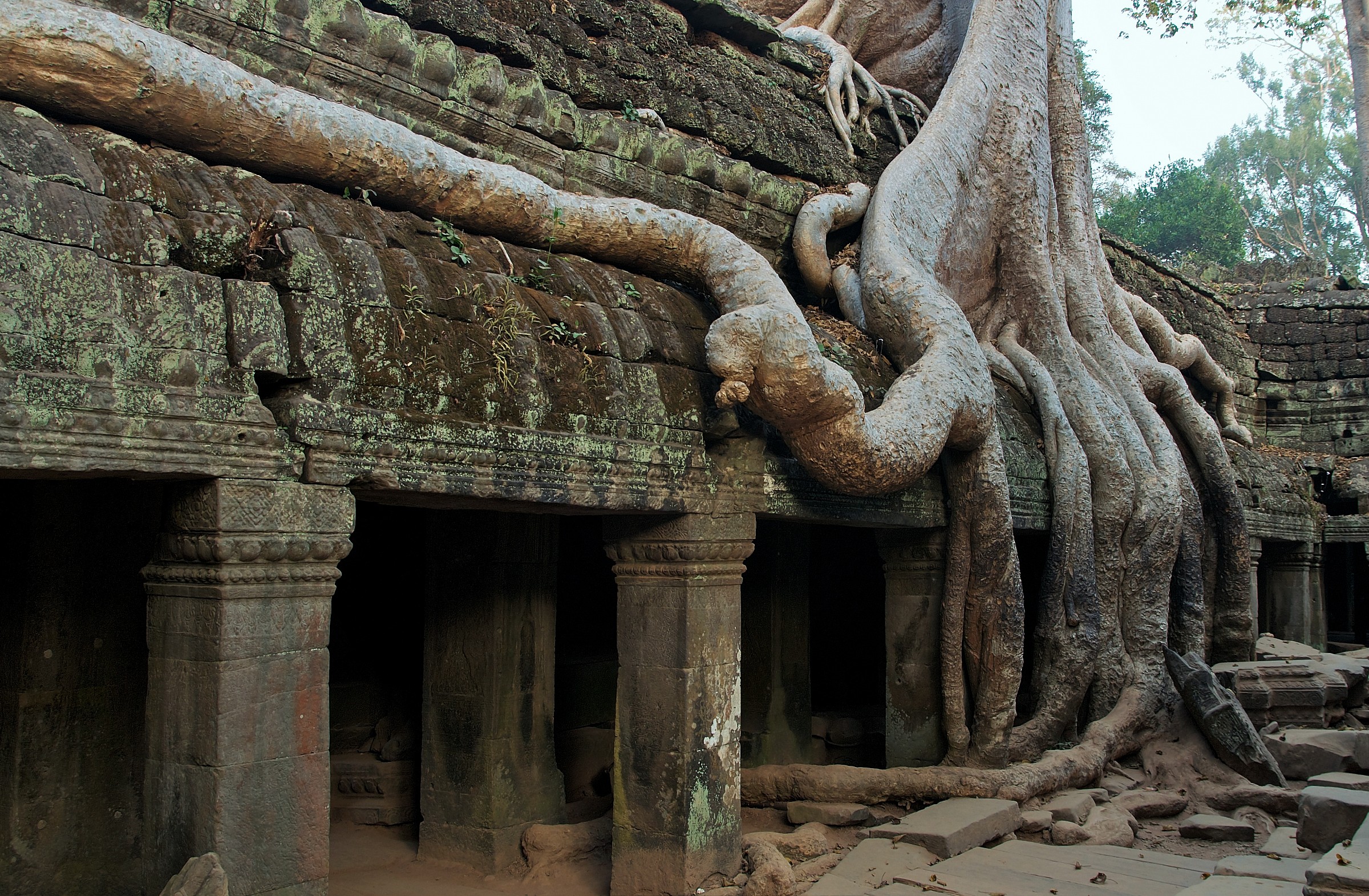 Temple "Thomb Rider"