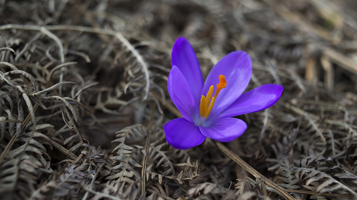 Dal vecchio al nuovo...