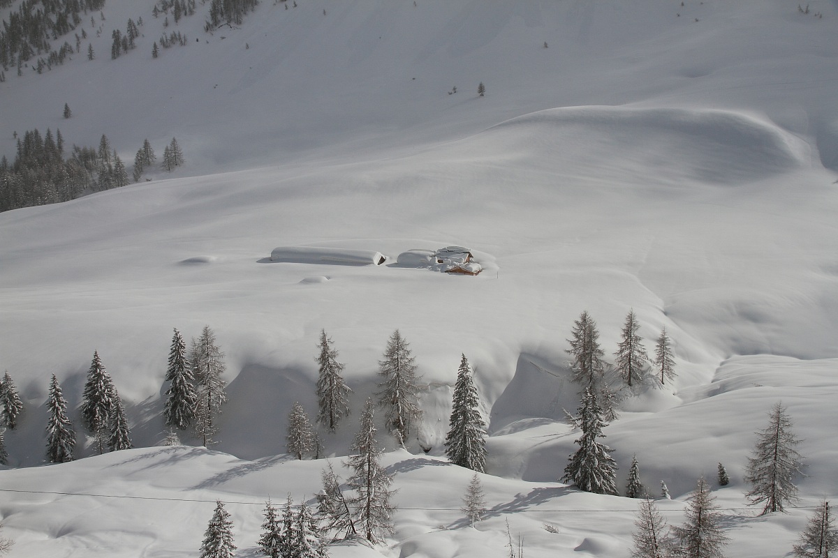 waiting for spring ...