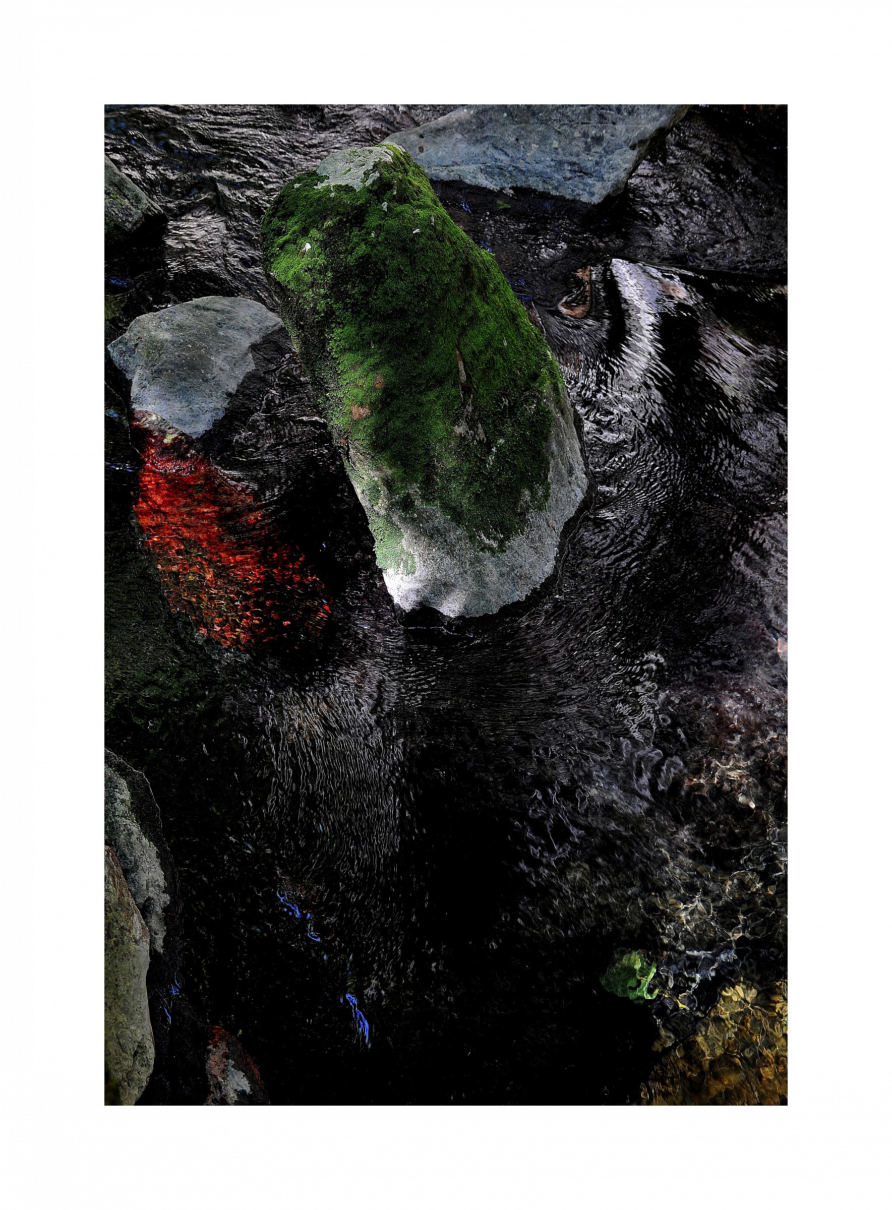 I colori della sorgente