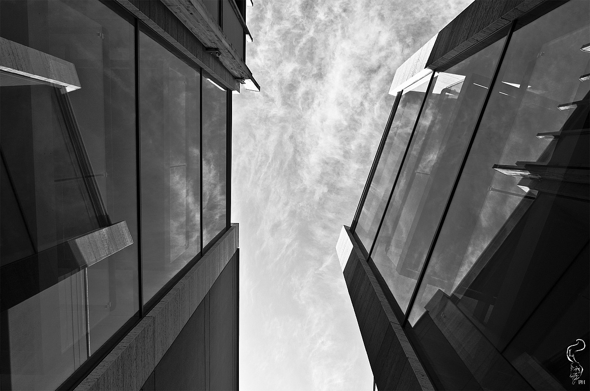 Geometrie e riflessi