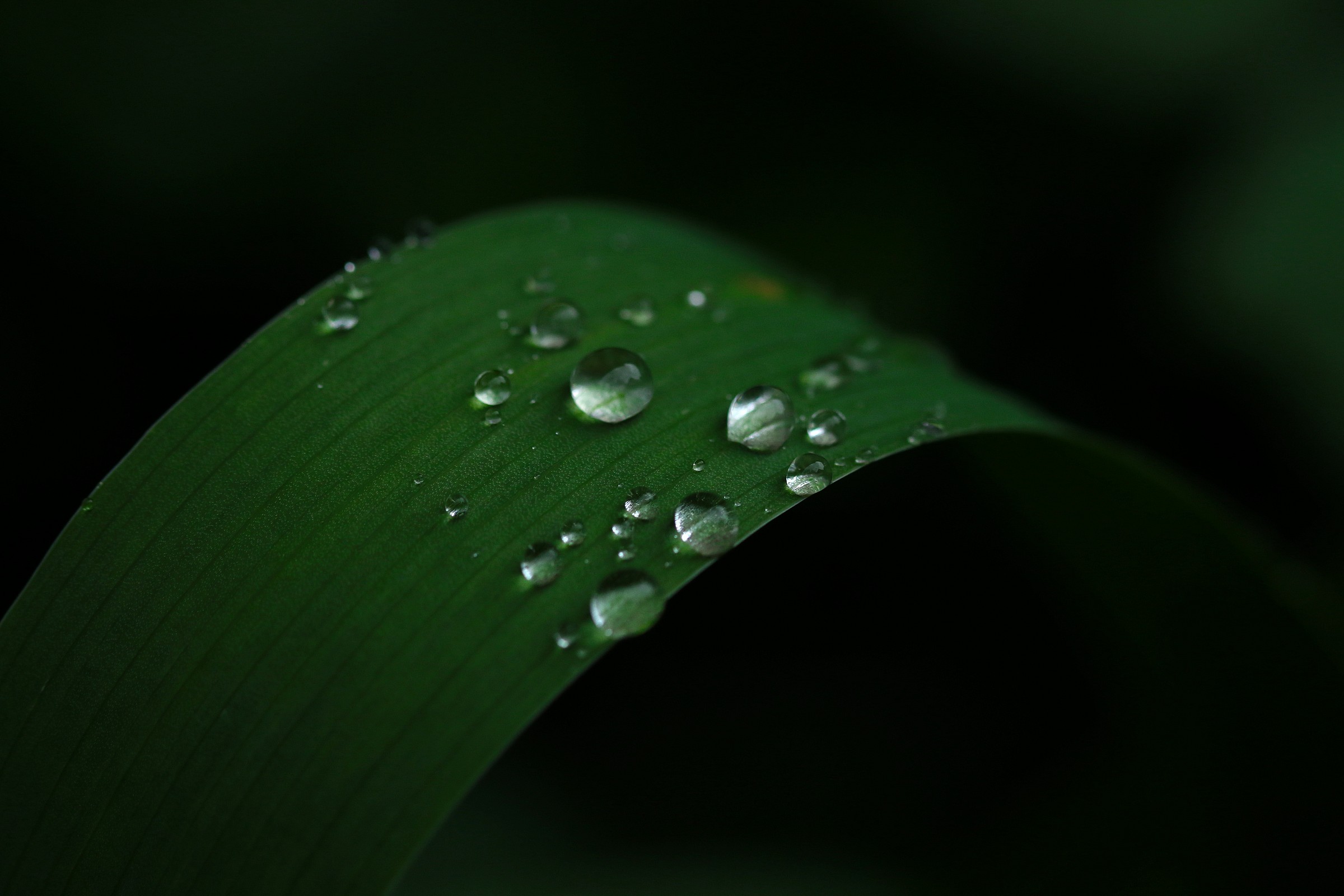 Droplets