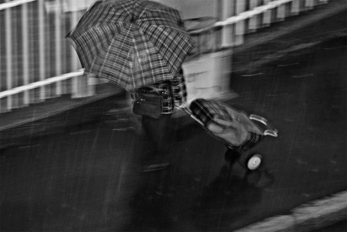 Tartan in the rain