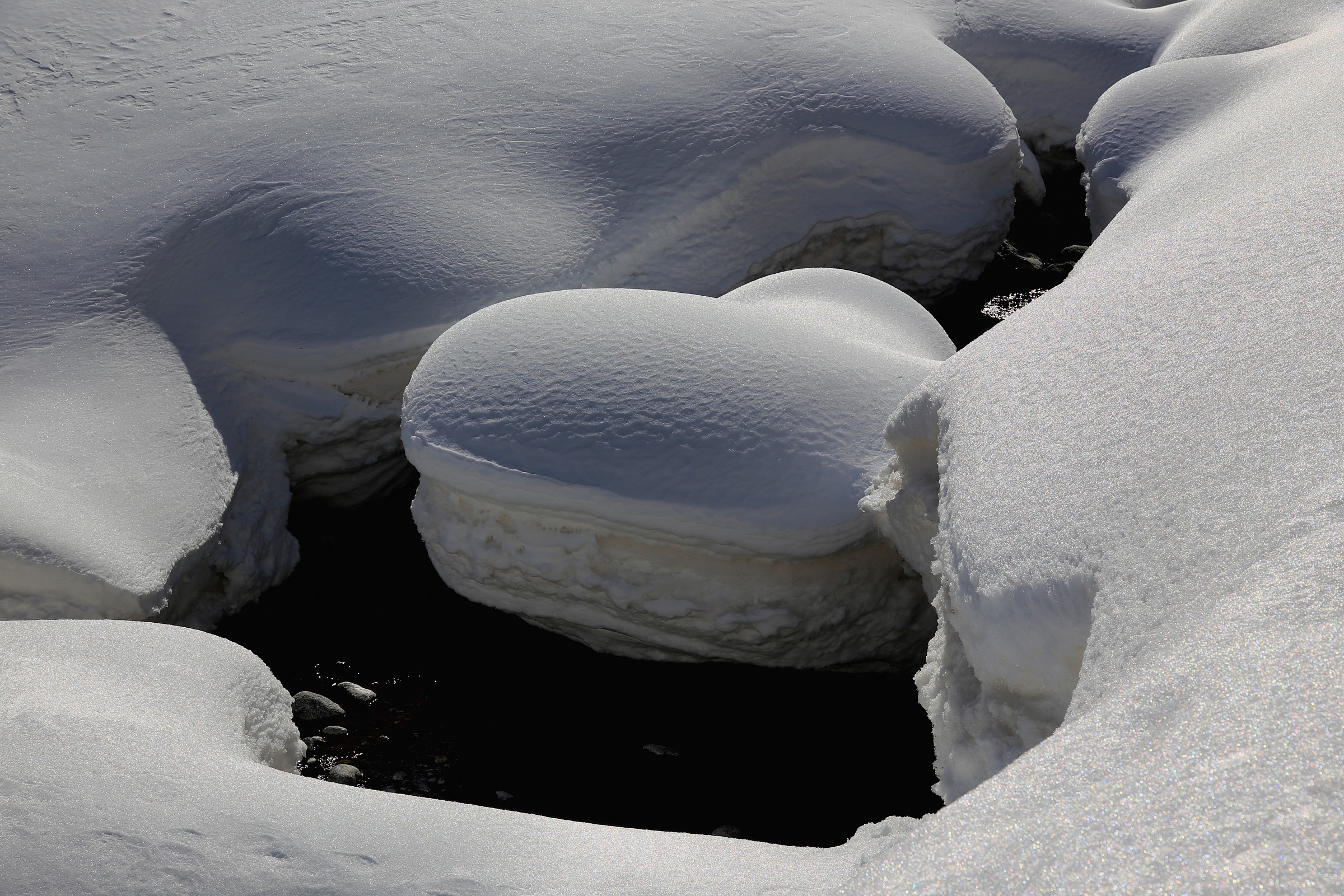nel cuore dell' inverno