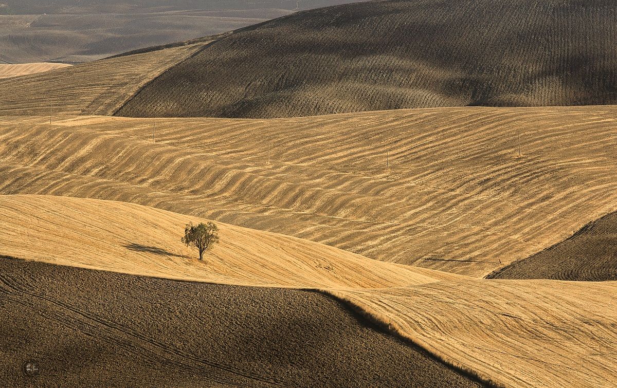 Val d'Orcia