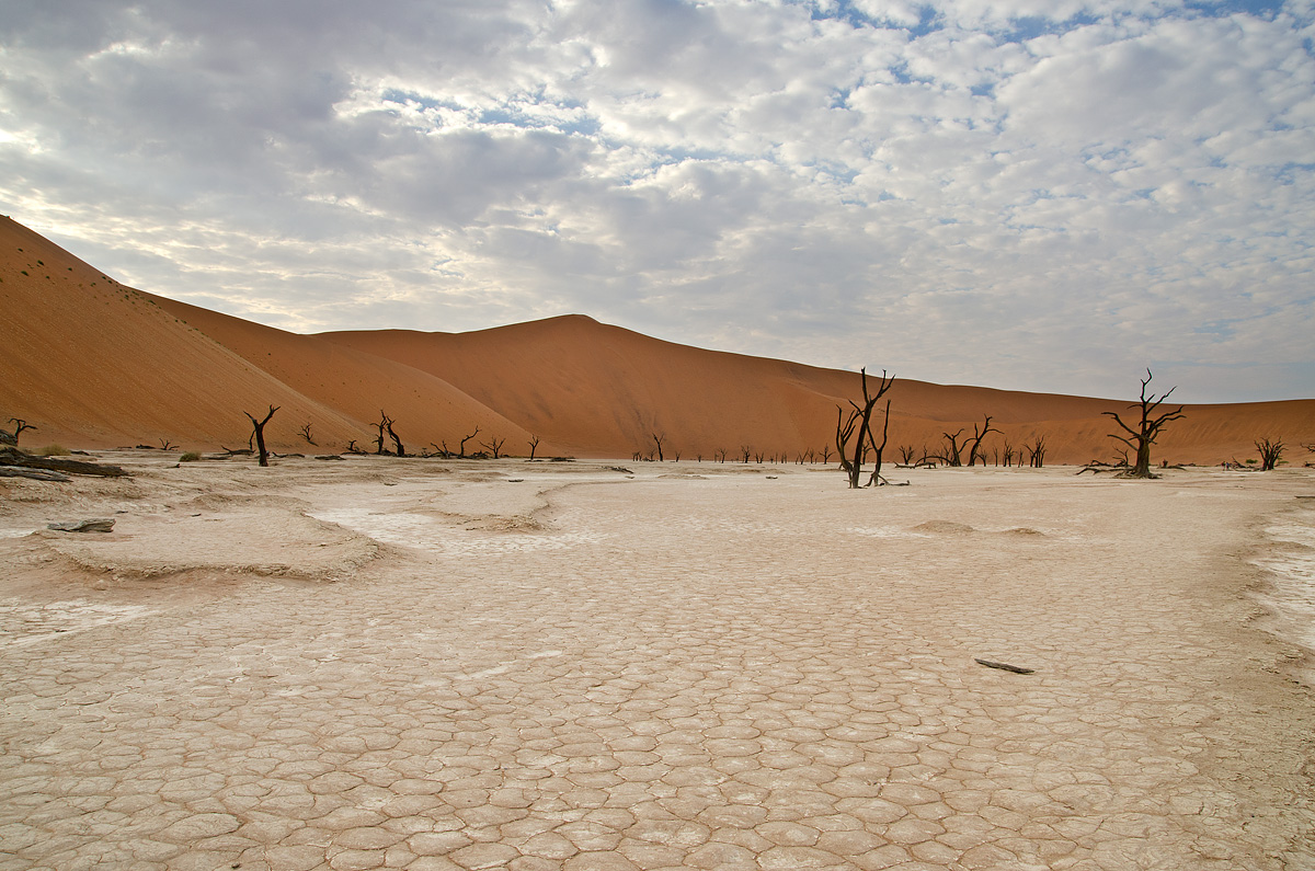 dead vlei