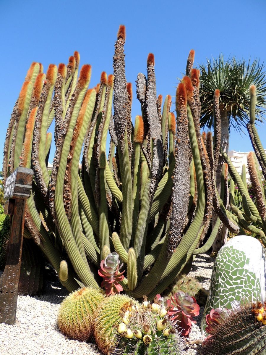 Tenerife-Playa Las Ameicas-Minigolf 6