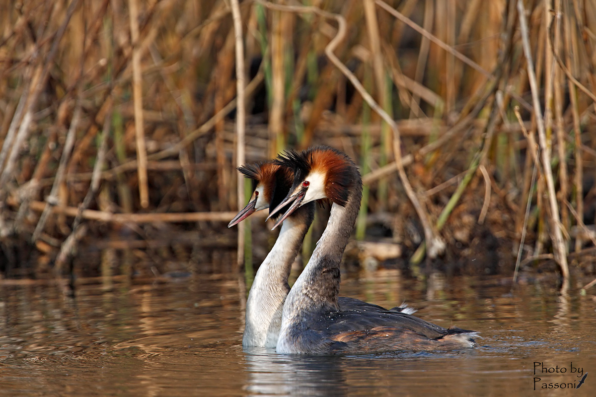 Passeggiata romantica!