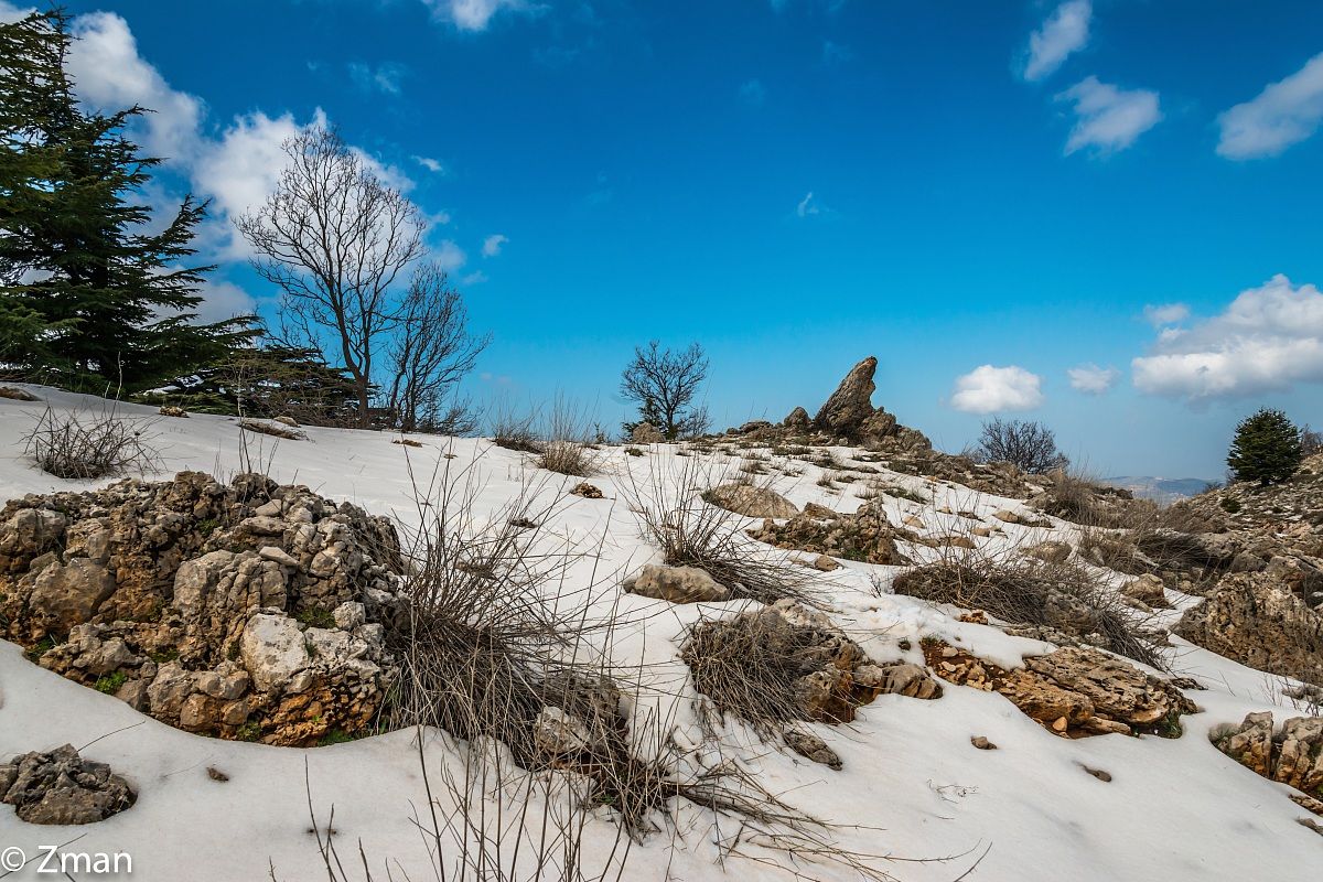 Ultima neve di quest'anno