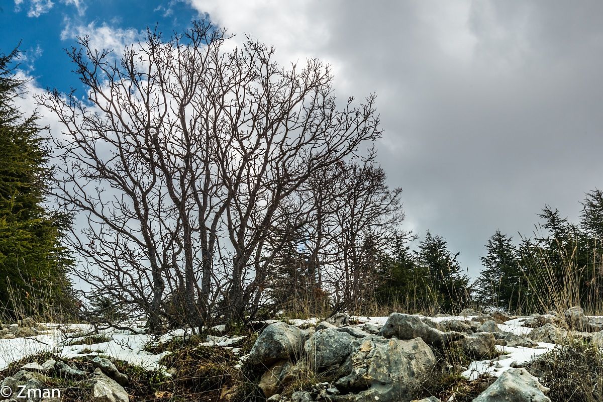 Ultima neve di quest'anno