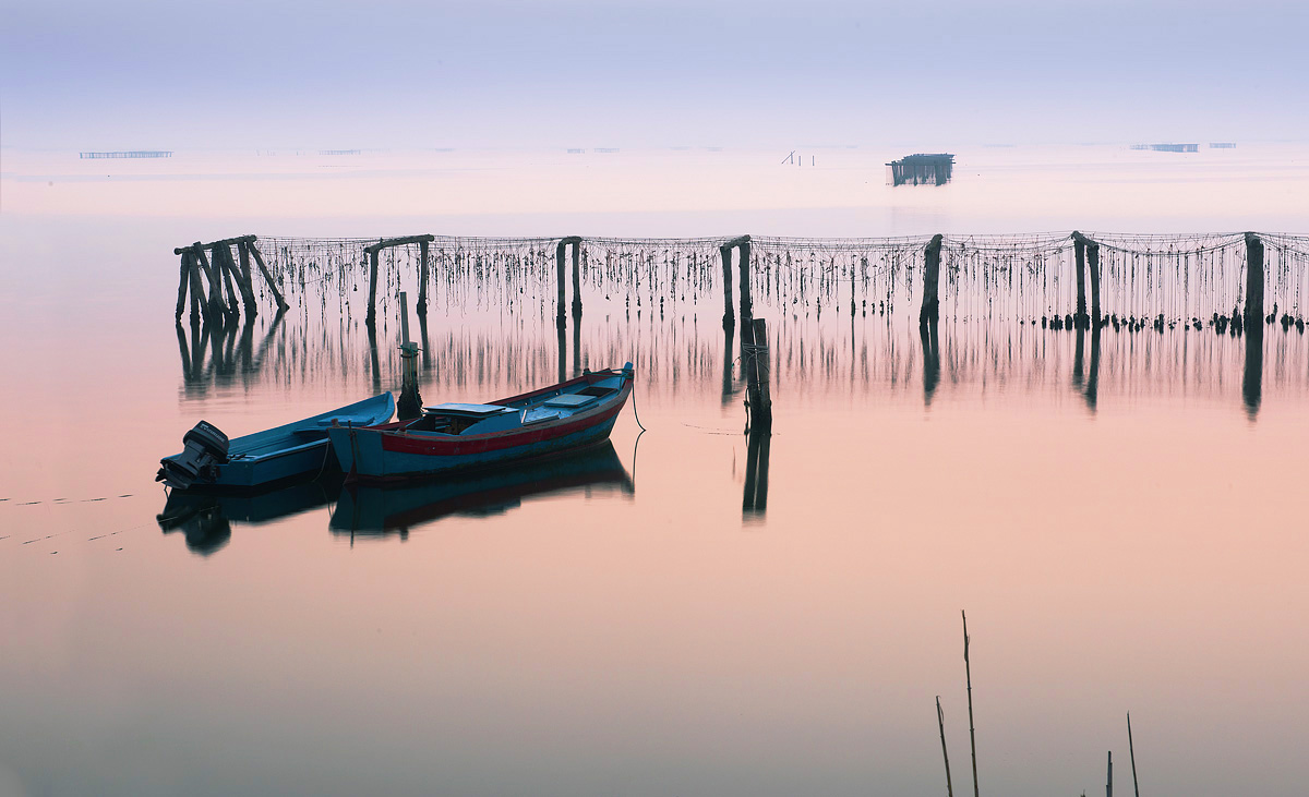 Sacca degli Scardovari